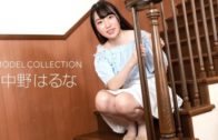 Free JAV Uncensored porn Videos Collection (12-30-2024)